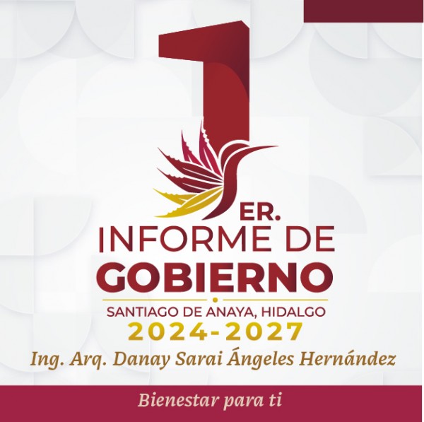 INFORME DE GOBIERNO